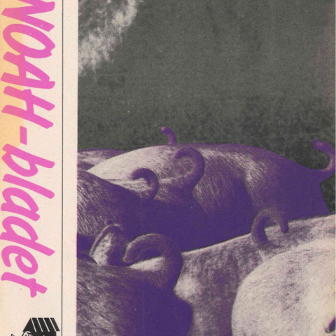 NOAH-bladet 113