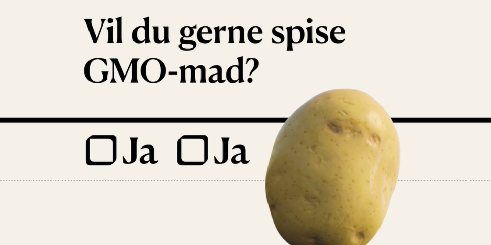 Grafik: REVOLT og NOAH Vil du gerne spise GMO-mad